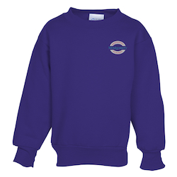 Paramount Crew Sweatshirt - Youth - Embroidered