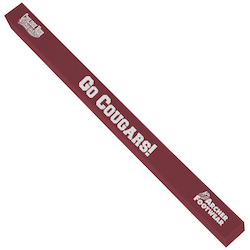 Foam Cheer Noodle - 28"