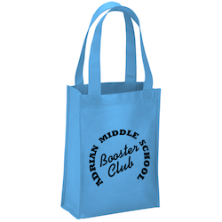 Payson Mini Tote - 12" x 9"