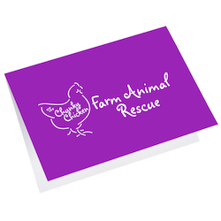Greeting Card with Gift Card Holder