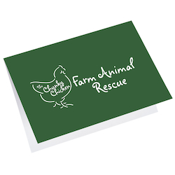 Greeting Card with Gift Card Holder