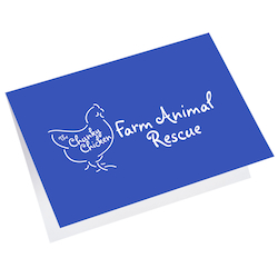 Greeting Card with Gift Card Holder