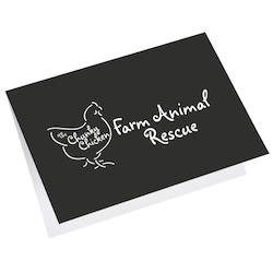 Greeting Card with Gift Card Holder