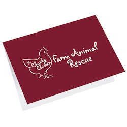 Greeting Card with Gift Card Holder