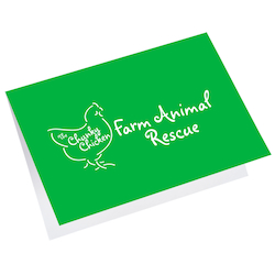 Greeting Card with Gift Card Holder