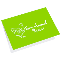 Greeting Card with Gift Card Holder