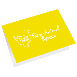 Greeting Card with Gift Card Holder