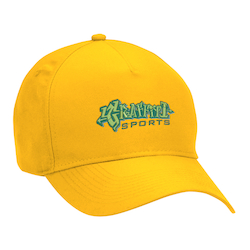 Dominate Snapback Cap