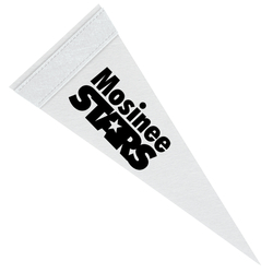 Pennant 4" x 10" - White