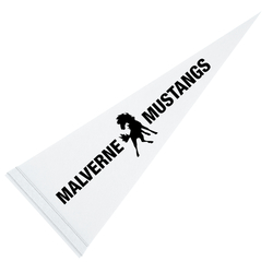 Pennant 9" x 24" - White