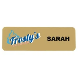 Charleston Name Badge - 1" x 3" - Jeweler's Pinback