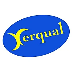 Chrome Color Sticker - Oval
