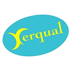 Chrome Color Sticker - Oval