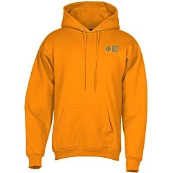 Paramount Pullover Hoodie - Embroidered - 24 hr