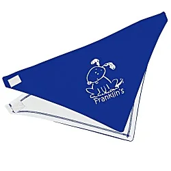 Rabbit Skins Bandana Bib