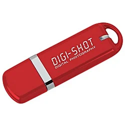 Evolve USB Flash Drive - 256MB - 24 hr
