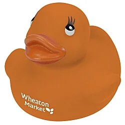 Colorful Rubber Duck - 24 hr