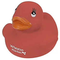 Colorful Rubber Duck - 24 hr