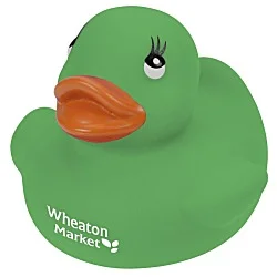 Colorful Rubber Duck - 24 hr