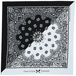 Colorblock Paisley Bandana - 22" x 22"