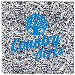 English Paisley Bandana - 22" x 22"