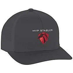 Trucker Flexfit Snapback Cap