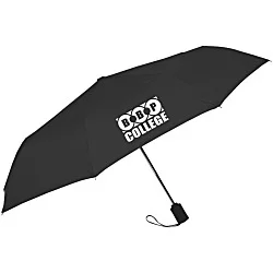 Executive Auto Open/Close Umbrella - 43" Arc