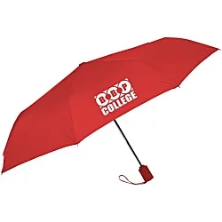 Executive Auto Open/Close Umbrella - 43" Arc