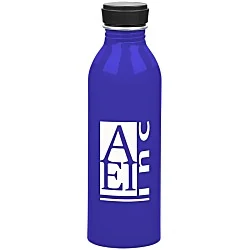 Level Aluminum Bottle - 17 oz.