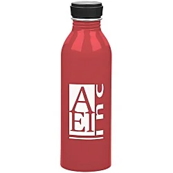 Level Aluminum Bottle - 17 oz.