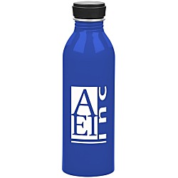 Level Aluminum Bottle - 17 oz.