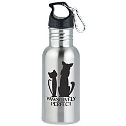 Stainless Adventure Bottle - 18 oz.