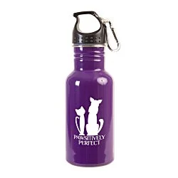 Stainless Adventure Bottle - 18 oz.