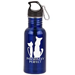Stainless Adventure Bottle - 18 oz.