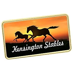 Magnetic Lapel Pin - Rectangle