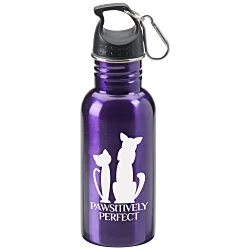Stainless Adventure Bottle - 18 oz. - 24 hr