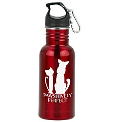 Stainless Adventure Bottle - 18 oz. - 24 hr