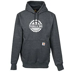 Carhartt Paxton Heavyweight Hoodie - Screen