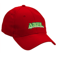 Price-Buster 6-Panel Cap - Embroidered