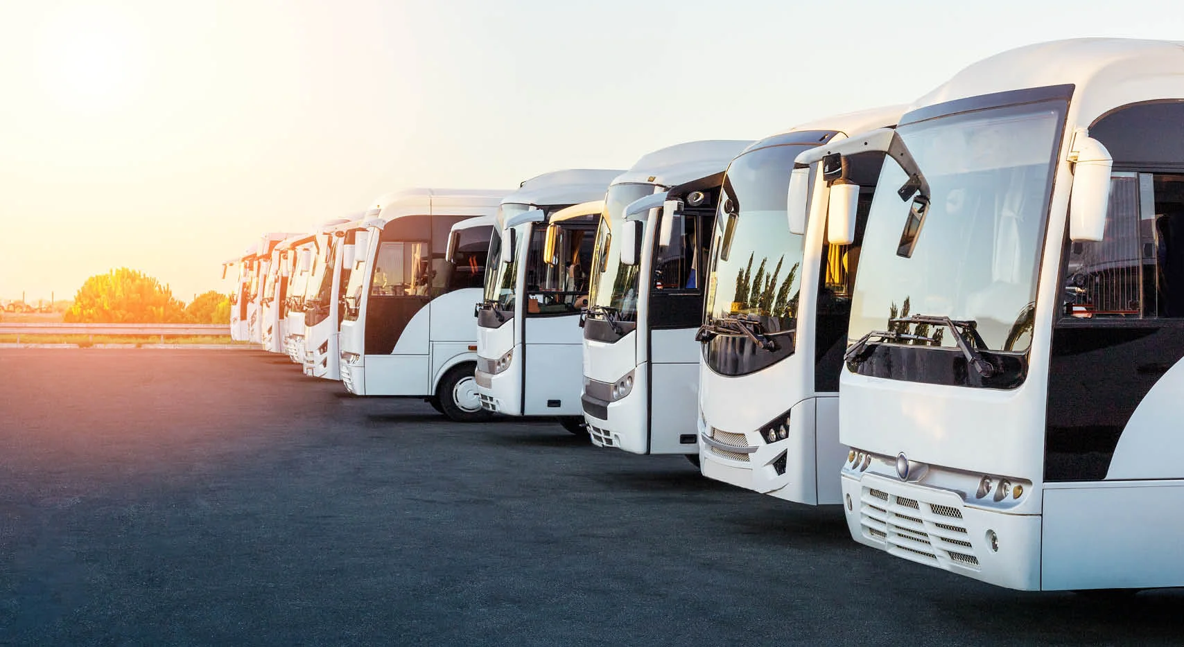 row of travel buses
