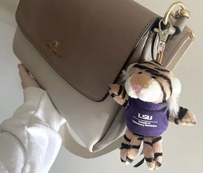 Wild Bunch Tiger Keychain on a purse