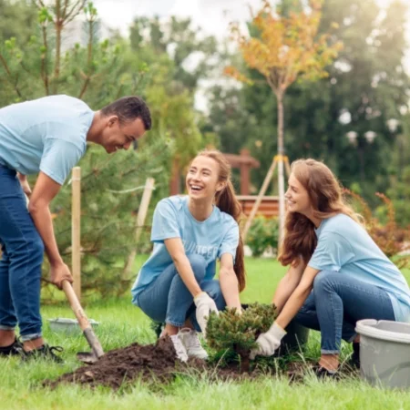Three volunteers in the park planting a tree.