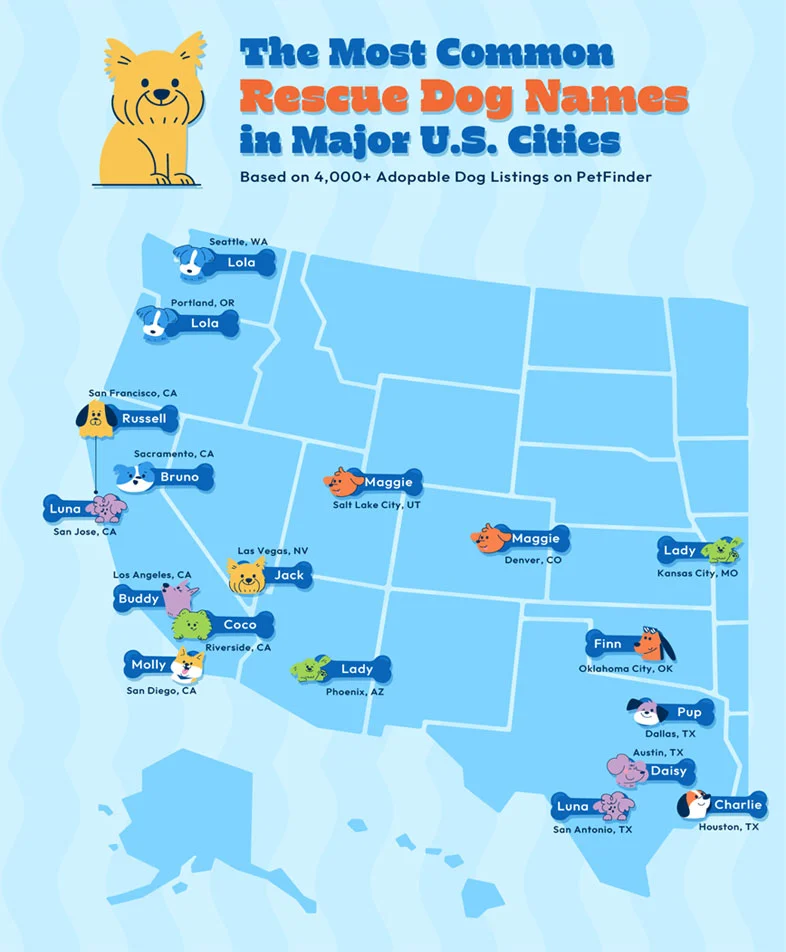 Western U.S. map highlighting the most popular dog names