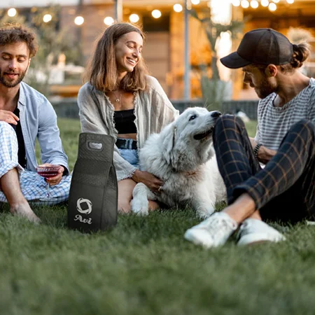 Group of people drinking wine on a lawn with a wine bag