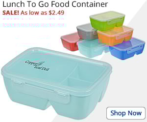 Lunch To Go Food Container