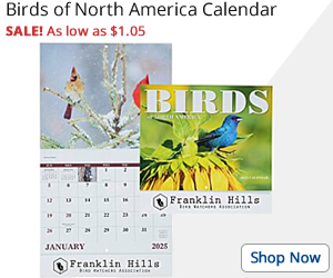 Birds of North America Calendar