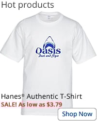 Hanes Authentic T-Shirt 