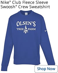 Nike Club Fleece Sleeve Swoosh Crew Sweatshirt