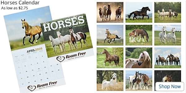 Horse Calendar 