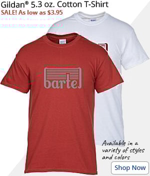 Gildan 5.3 oz. Cotton T-Shirt - Men's - Screen - Colors